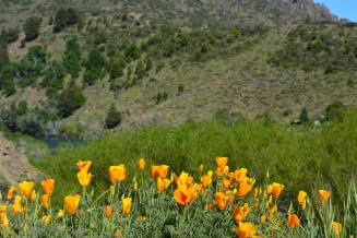 Spring colours Spring colours