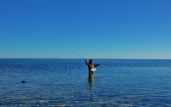 Fewer false casts Fewer false casts