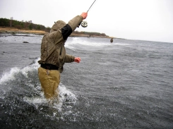 In the storm In the storm