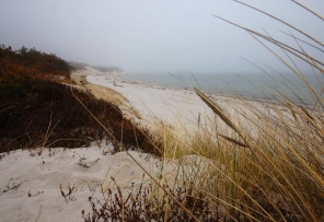 Fog and sand Fog and sand