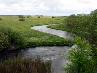 Perfect for bank fishing Perfect for bank fishing