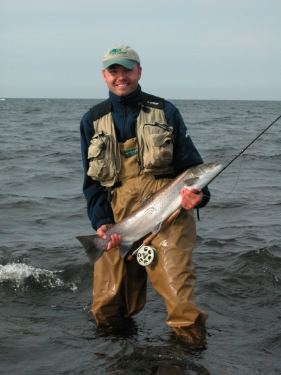 Large kelt Large kelt