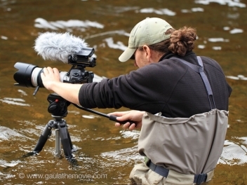 In the wet In the wet