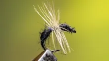 Video thumb for Ant Fly