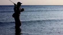 Video thumb for El agua de Franco