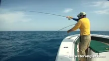Video thumb for Tuna!