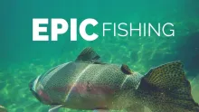 Video thumb for We found Fish