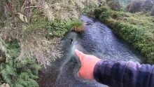 Video thumb for Fishing my Guiding Spots
