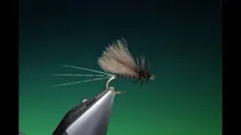 Video thumb for Sepia Dun