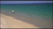 Video thumb for Running down the man