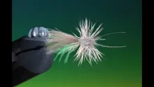 Video thumb for Midsummer Caddis