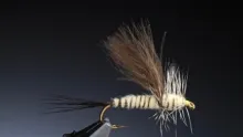 Video thumb for Green Drake