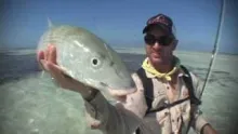 Video thumb for Farquhar Atoll