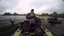 Video thumb for Them tail streamers!
