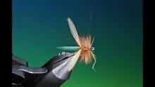 Video thumb for Foam Cylinder Cranefly