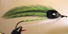 User submitted picture: Named after Capt. Ahab's...