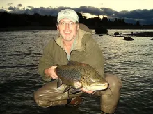 User submitted picture: 11 pound Brown trout from...
