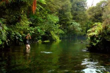 User submitted picture: fighting in green