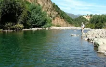 User submitted picture: Esperando el momento... 
...