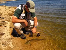 User submitted picture: Decansando with a common ...