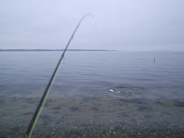 User submitted picture: A hard day at the office....